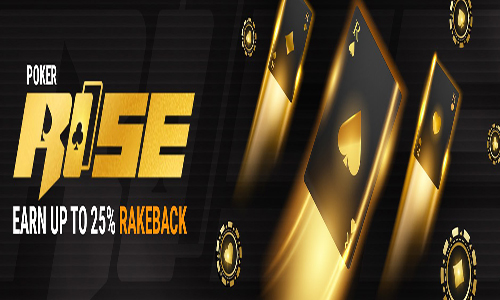 Rise: how TigerGaming new loyalty programme works