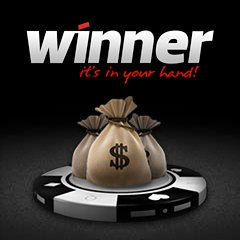Rake race with $8000 prizes in Winner Poker
